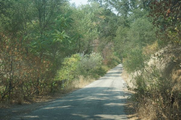 [Picture of String Bean Alley 2]